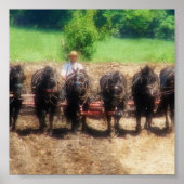 Pflanzzeit Poster (Vorne)