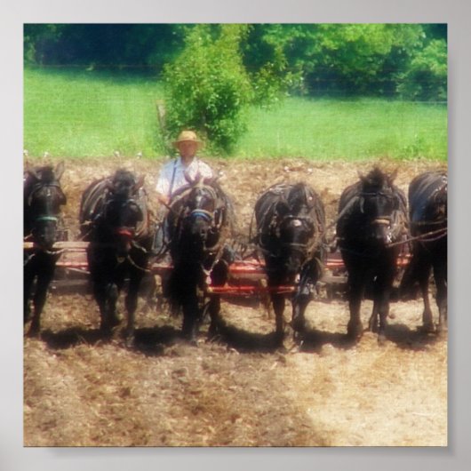 Pflanzzeit Poster (Vorne)