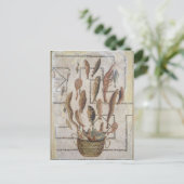 Pflaster, auf dem Fische dargestellt sind, die aus Postkarte (Stehend Vorderseite)