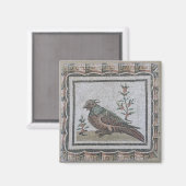 Pflaster mit einem Fasan Magnet (Vorderseite/Rückseite)