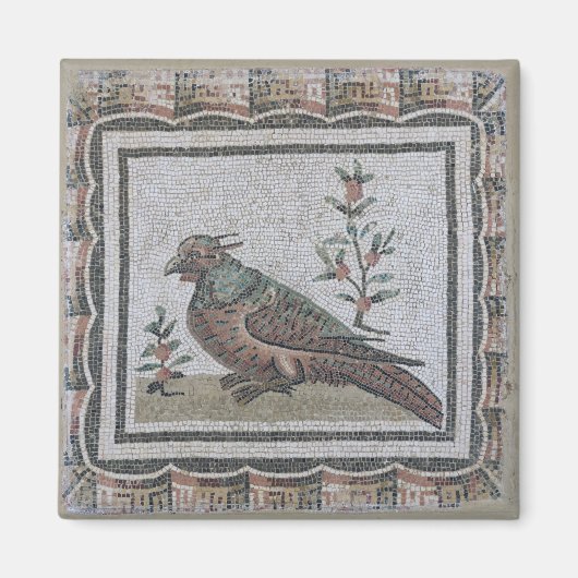 Pflaster mit einem Fasan Magnet (Vorne)