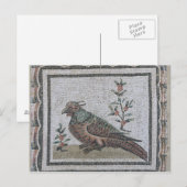 Pflaster mit einem Fasan Postkarte (Vorne/Hinten)