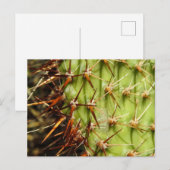 Pflaster Postkarte (Vorne/Hinten)