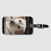 Pflaster von meinem Gepäckanhänger-Gelbe Labrador Gepäckanhänger (Vorderseite (Horizontal))