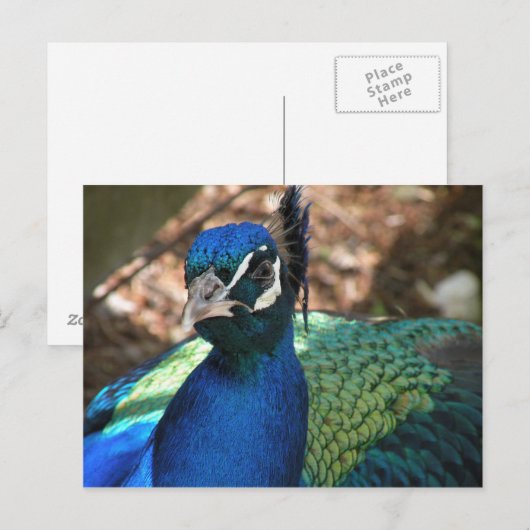 Pflasterpostkarte Postkarte (Vorne/Hinten)