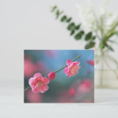 Pflaume 4 postkarte (Stehend Vorderseite)