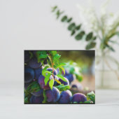 Pflaume auf dem Baum Postkarte (Stehend Vorderseite)
