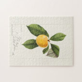 Pflaume (Prunus Domestica) Fruchtfarben Puzzle (Horizontal)