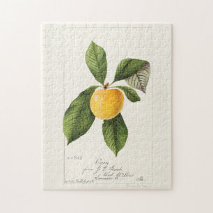 Pflaume (Prunus Domestica) Fruchtfarben Puzzle