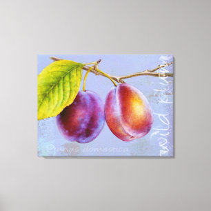 Pflaume, Prunus domestica Leinwand Art Lila