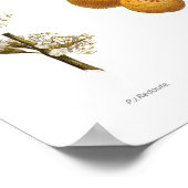 Pflaume (Prunus x domestica var. syriaca) Poster (Ecke)