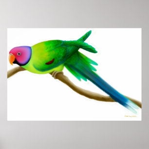 Pflaume vorangegangener Parakeet-Papageien-Druck Poster