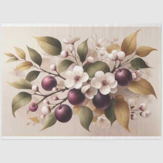 Pflaumen, Blüten, Dekopulationspapier Seidenpapier (Vorderseite)