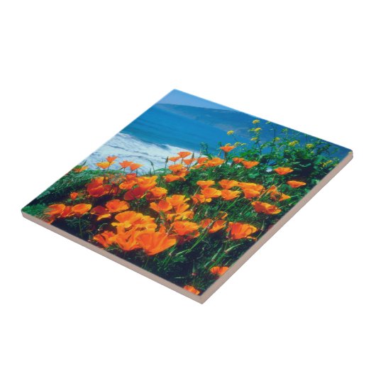 Pflaumen entlang der Pazifikküste bei Big Sur Fliese (Seite)