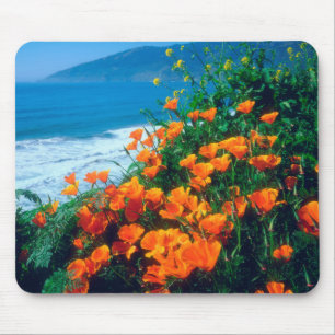 Pflaumen entlang der Pazifikküste bei Big Sur Mousepad