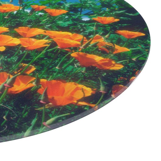 Pflaumen entlang der Pazifikküste bei Big Sur Schneidebrett (Ecke)