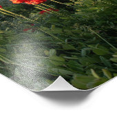 Pflaumen im Tal - Casper Berg Fotodruck (Ecke)