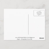 Pflaumen in der Sonne - Postkarte (Rückseite)