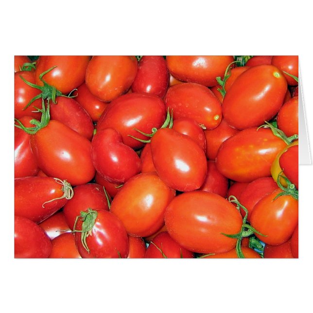 Pflaumen-Tomaten (Vorderseite (Horizontal))