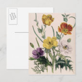 Pflaumen und Anemonen Postkarte (Vorne/Hinten)