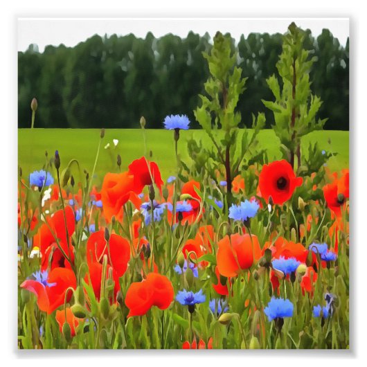 Pflaumen und Blumen Realistische Landschaft Kunst Fotodruck (Vorne)