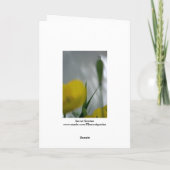 Pflaumen und Schatten 4 Blumenfotografie Gruß C Karte (Rückseite)