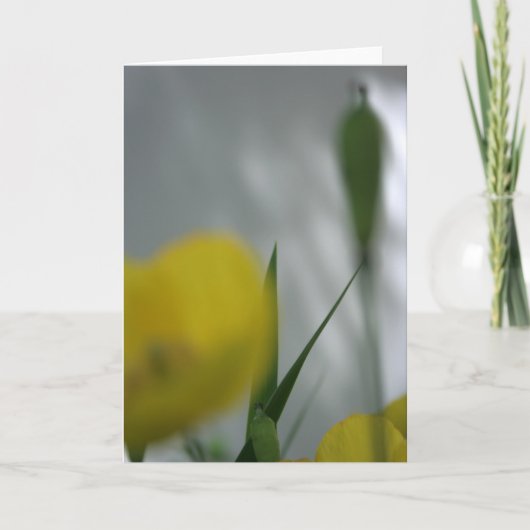 Pflaumen und Schatten 4 Blumenfotografie Gruß C Karte (Vorderseite)