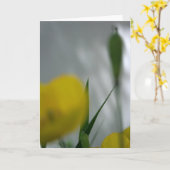 Pflaumen und Schatten 4 Blumenfotografie Gruß C Karte (Gelbe Blume)