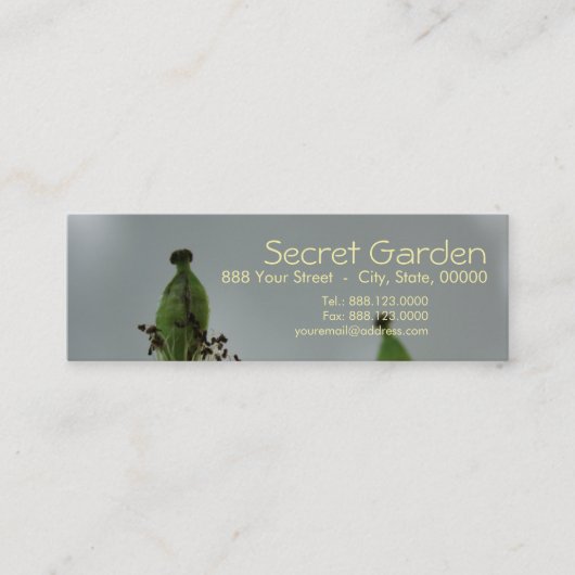 Pflaumen und Schatten (5) Mini Visitenkarte (Vorderseite)