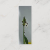 Pflaumen und Schatten (5) Mini Visitenkarte (Rückseite)