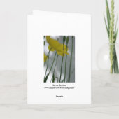 Pflaumen und Schatten 8 Blumenfotografie Gruß C Karte (Rückseite)