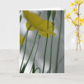 Pflaumen und Schatten 8 Blumenfotografie Gruß C Karte (Gelbe Blume)