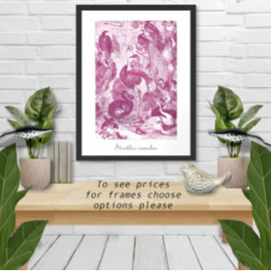 Pflaumen-Vintage-Strauß-Illustration Struthio came Poster