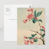 Pflaumenbaum Blüten Postkarte (Vorne/Hinten)