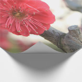 Pflaumenblüte Feder rosa Blume Packpapier (Ecke)