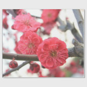 Pflaumenblüte Feder rosa Blume Packpapier (Flach)