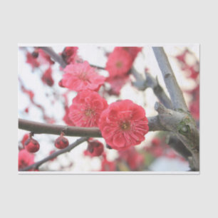 Pflaumenblüte Feder rosa Blume Papiertaschentuch Seidenpapier