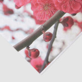 Pflaumenblüte Feder rosa Blume Papiertaschentuch Seidenpapier (Ausschnitt)