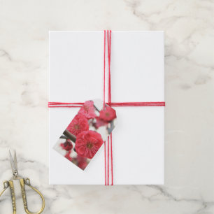 Pflaumenblüte Frühling rosa Blume Geschenk Tags Geschenkanhänger