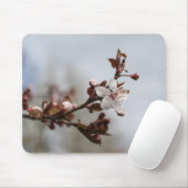 Pflaumenblüte Mousepad (Mit Mouse)