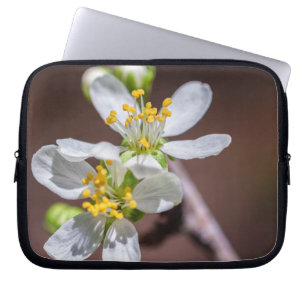 Pflaumenblüten Laptopschutzhülle