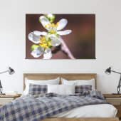 Pflaumenblüten Leinwanddruck (Insitu (Schlafzimmer))
