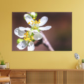 Pflaumenblüten Leinwanddruck (Insitu (Wohnzimmer))