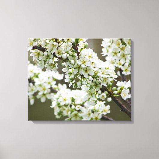 Pflaumenblüten Leinwanddruck (Vorderseite)