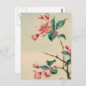 Pflaumenblüten Postkarte (Vorne/Hinten)