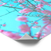 Pflaumenblüten (Suzhou, China) Poster (Ecke)