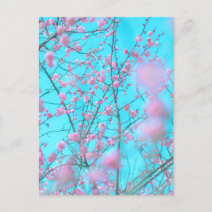 Pflaumenblüten (Suzhou, China) Postkarte