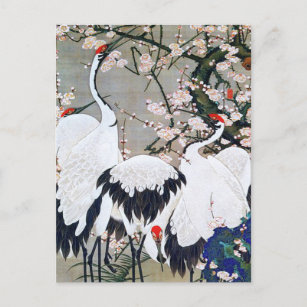 Pflaumenblüten und Krane von Ito Jakuchu Postkarte