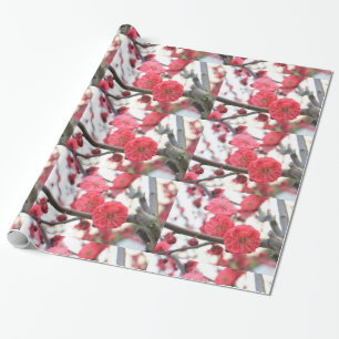 Pflaumenblütenfeder pink Blume 2 Packpapier