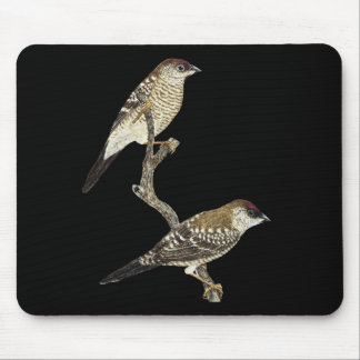 Pflaumenhain - Neochmia modesta Mousepad